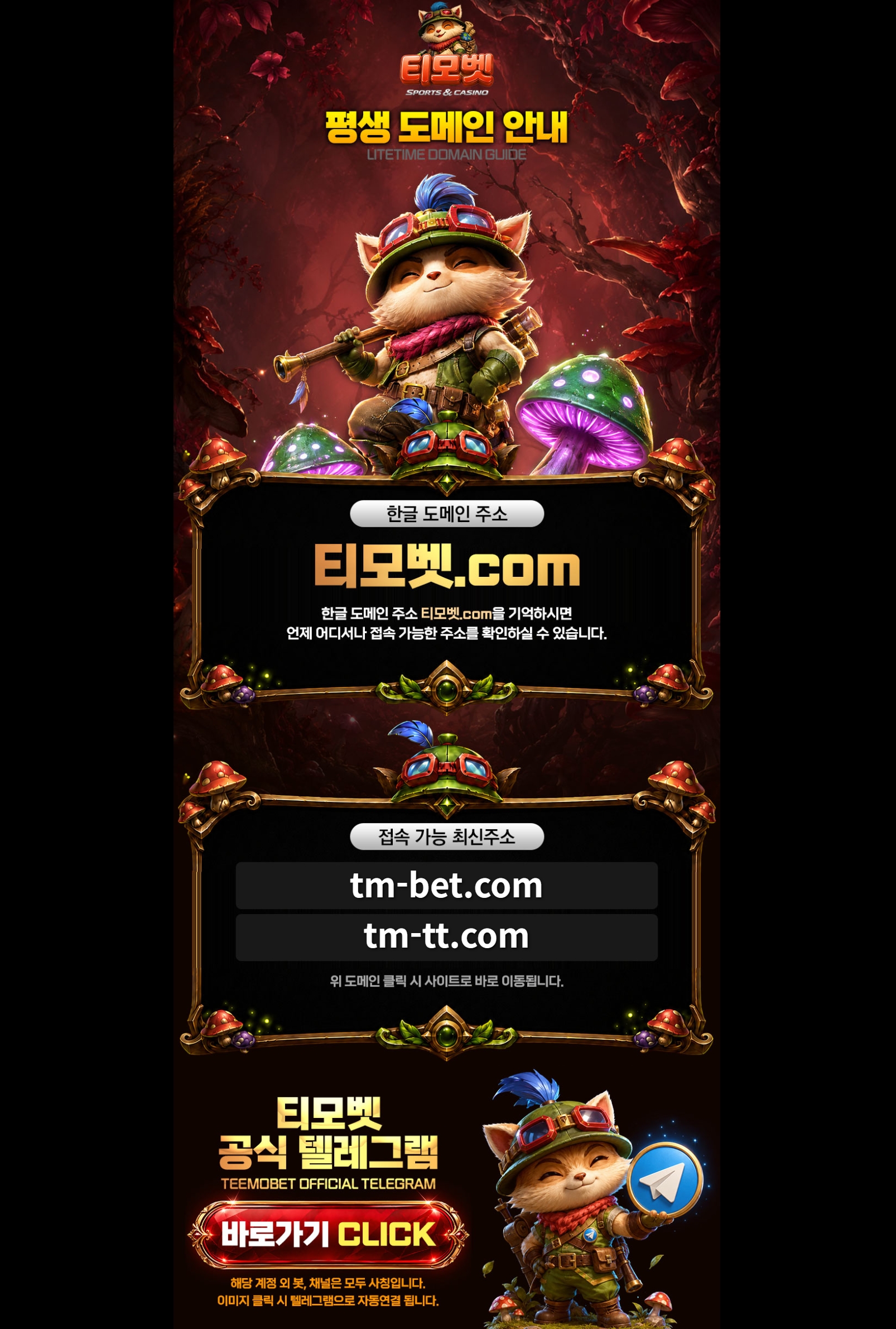 티모벳 메인화면 기록