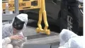 동대문 캣맘들의 일상은 과연?