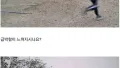 강풍 속 캠핑 도전, 결과는?ㅋㅋ
