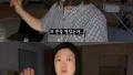 제주도에서 벌떼와의 만남