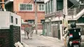 이거 진짜 사람인가요? ㅋㅋ