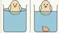 중학교 물리 문제, 누가 맞힐까?