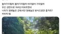 계곡 안전요원, 진짜 고생이네
