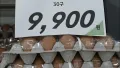 이마트 계란 가격, 언제쯤 내려갈까?