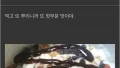 아이스크림의 정수! 콘윗부분만 드셔보세요