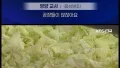 급식보다 도시락이 안전한 시대?