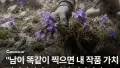 사진작가 동호회, 이건 좀 과하다