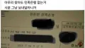 신입사원, 정리의 세계에 오신 것을 환영합니다!