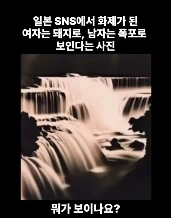 여자는 돼지, 남자는 폭포로 보이는 사진