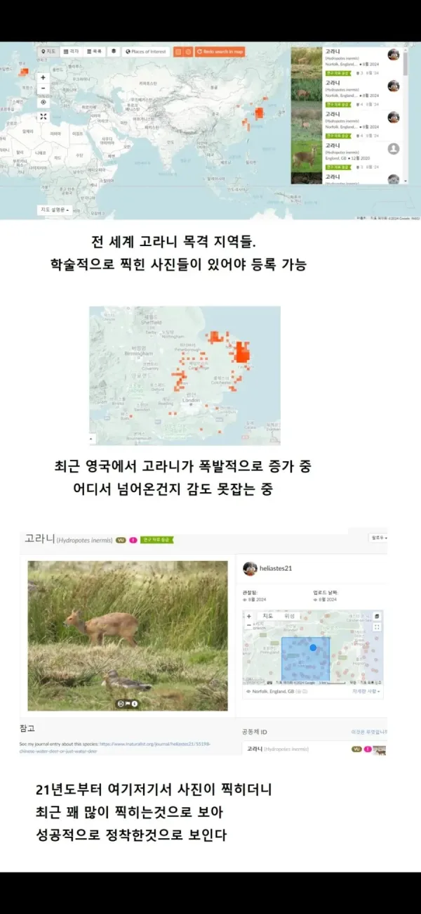 고라니 분포 지도