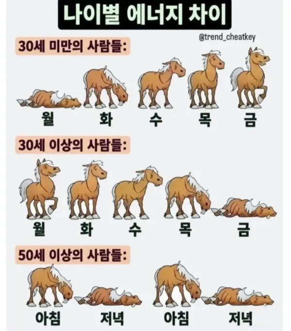 나이별 에너지 차이 표현 이미지