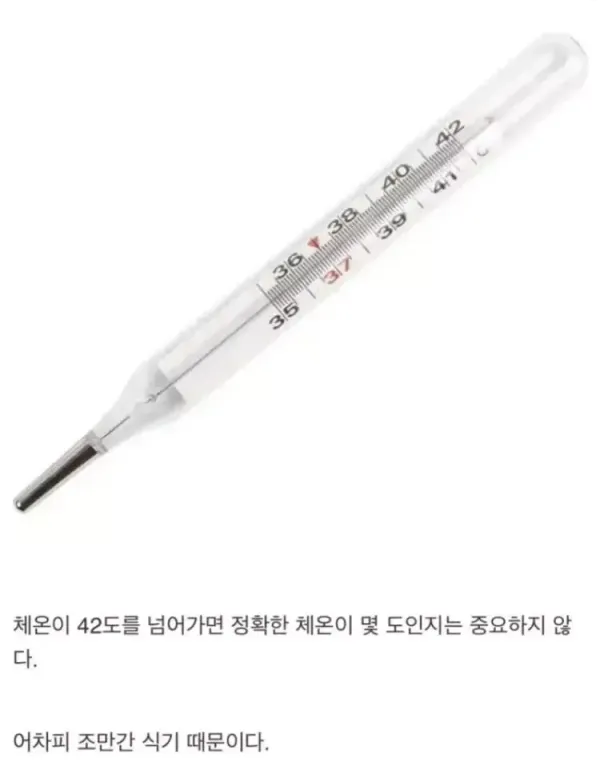 체온계가 42도까지 표시된 모습