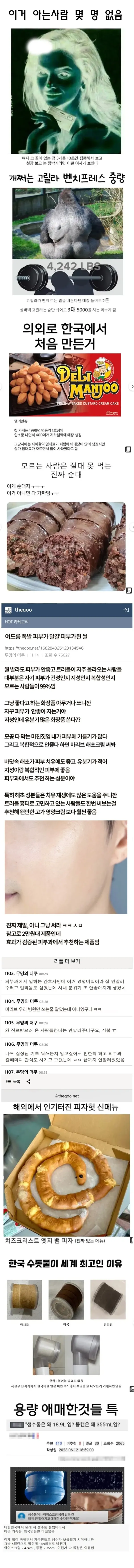 특이한 음식 이미지
