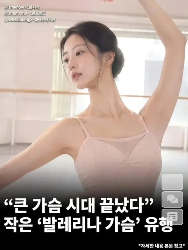 발레리나의 포즈