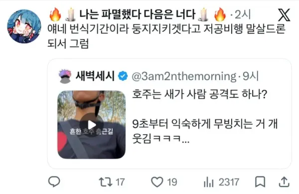 호주 출근길 풍경