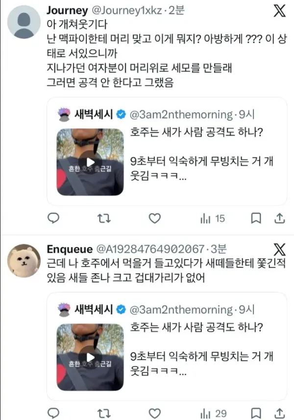 호주에서의 예상치 못한 상황