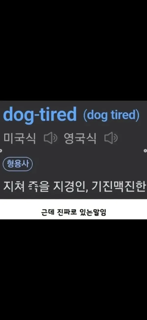 dog-tired 정의와 설명