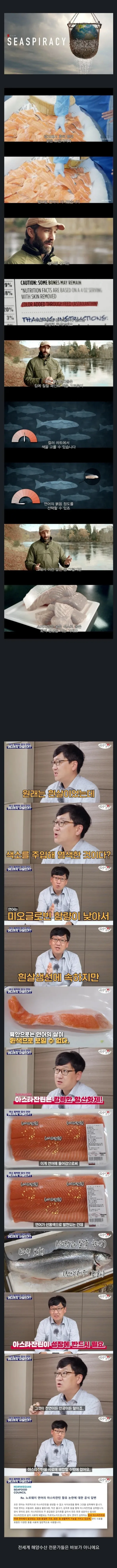 양식연어에 대한 다큐멘터리 장면