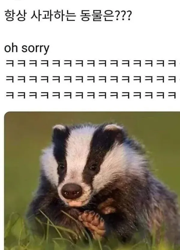사과하는 듯한 모습의 동물
