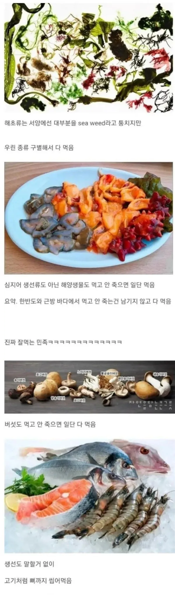 다양한 해조류