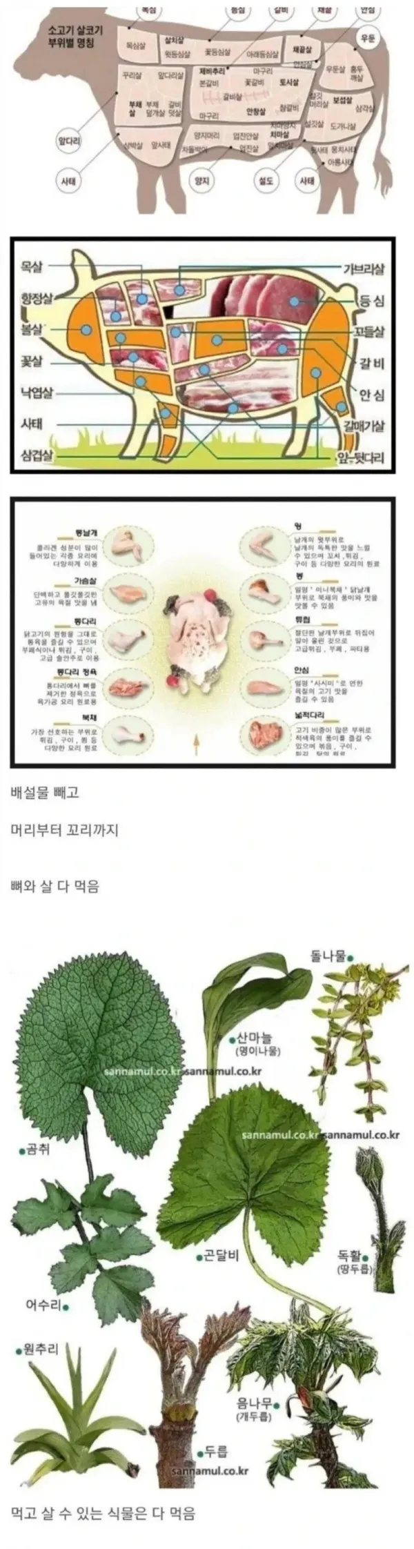 해산물 모듬 요리