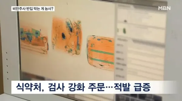 세관 검사 이미지
